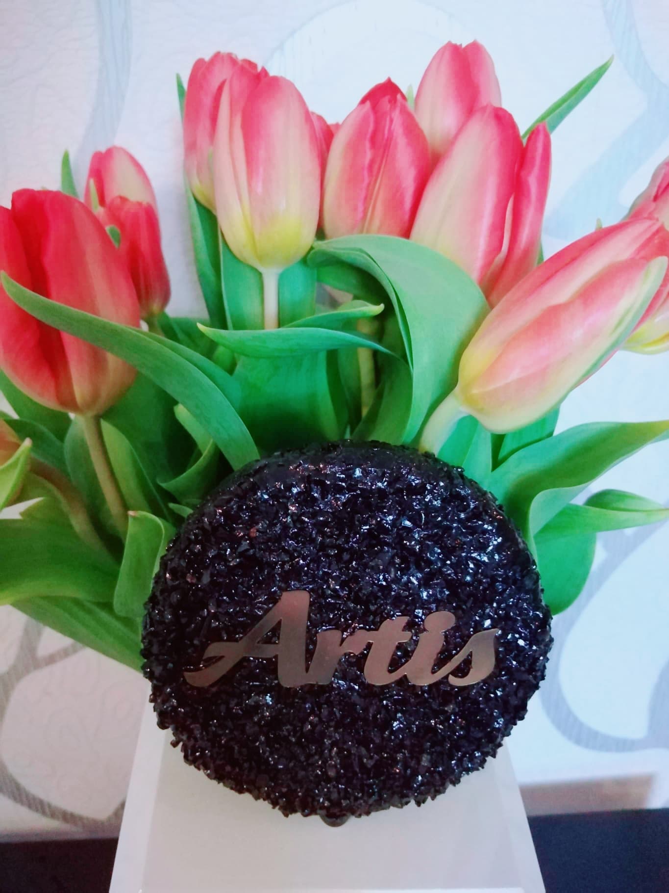 Artis Logo